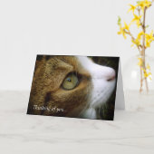 Tabby-Katze - denkend an Sie, kardieren Sie Karte (Gelbe Blume)