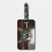 Tabby-Katze, die Sie betrachtet Gepäckanhänger (Rückseite vertikal)