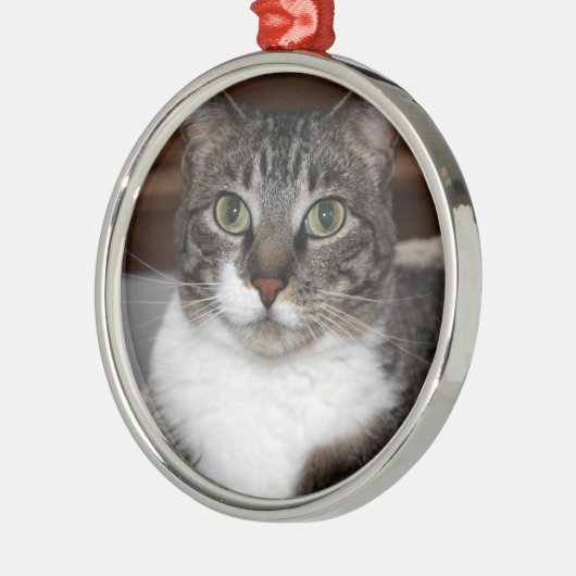 Tabby-Katze, die Sie Foto betrachtet Ornament Aus Metall (Links)