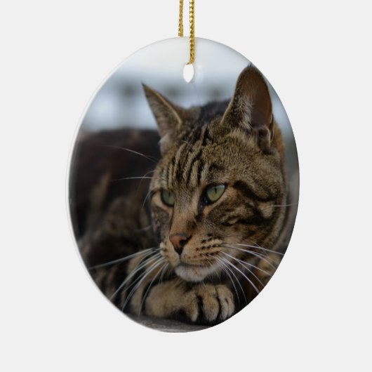 Tabby-Katze handlungsbereit Keramik Ornament (Rechts)