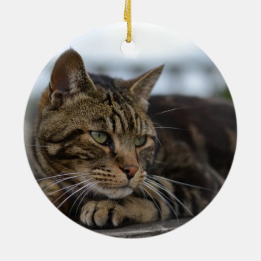 Tabby-Katze handlungsbereit Keramik Ornament (Hinten)