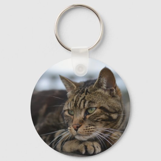 Tabby-Katze handlungsbereit Schlüsselanhänger (Vorderseite)
