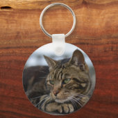 Tabby-Katze handlungsbereit Schlüsselanhänger (Vorderseite)