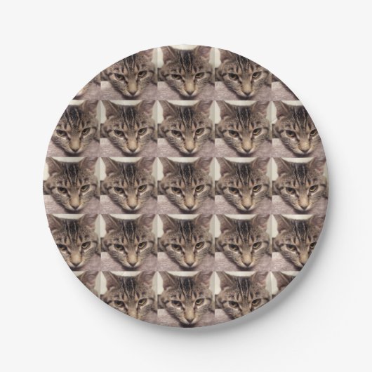 Tabby Katze-Instagram durch Shirley Taylor Pappteller (Vorderseite)