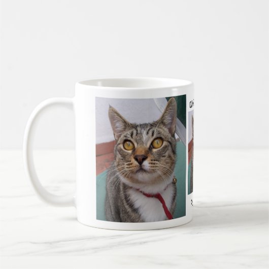 Tabby-Katze kann ich irgendeine Kaffee-Tasse des Kaffeetasse (Links)