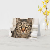 Tabby-Katze Karte (Gelbe Blume)