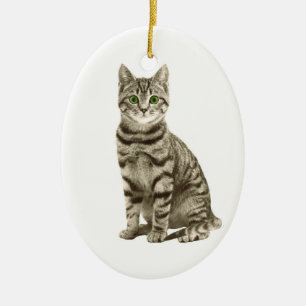 Tabby-Katze Keramikornament