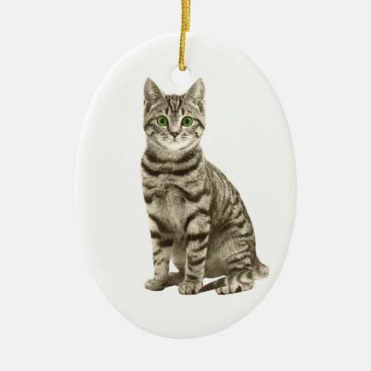 Tabby-Katze Keramikornament (Vorne)
