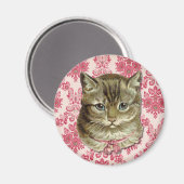 Tabby-Katze Magnet (Vorderseite/Rückseite)