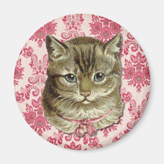 Tabby-Katze Magnet (Vorne)