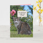Tabby Katze mit Augenbrille Geburtstag Karte (Gelbe Blume)