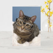 Tabby Katze mit Augenbrille Karte (Gelbe Blume)