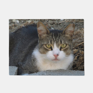 Tabby Katze mit grünen Augen Türmatte