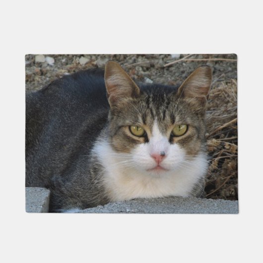 Tabby Katze mit grünen Augen Türmatte (Vorderseite)