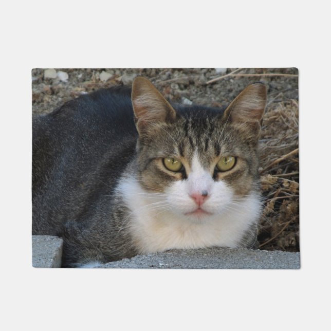 Tabby Katze mit grünen Augen Türmatte (Vorderseite)