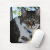 Tabby-Katze mit Hübscher Augen-Maus-Pad Mousepad (Mit Mouse)