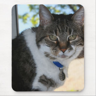 Tabby-Katze mit Hübscher Augen-Maus-Pad Mousepad