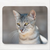 Tabby-Katze Mousepad (Vorne)