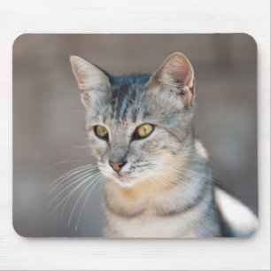 Tabby-Katze Mousepad