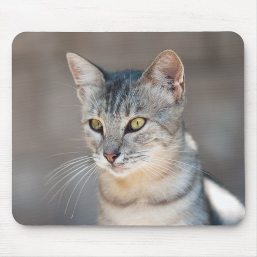 Tabby-Katze Mousepad (Vorne)