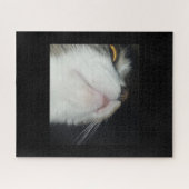 Tabby-Katze, naher schwarzer Hintergrund Puzzle (Horizontal)