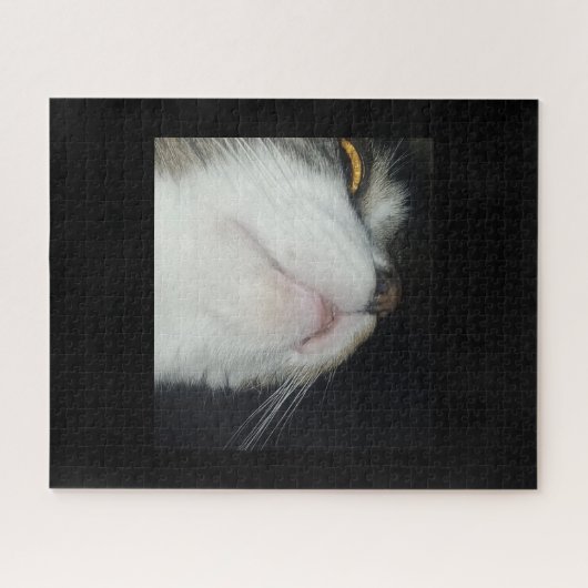 Tabby-Katze, naher schwarzer Hintergrund Puzzle (Horizontal)
