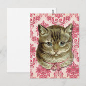 Tabby-Katze Postkarte (Vorne/Hinten)