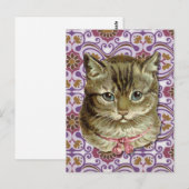 Tabby-Katze Postkarte (Vorne/Hinten)