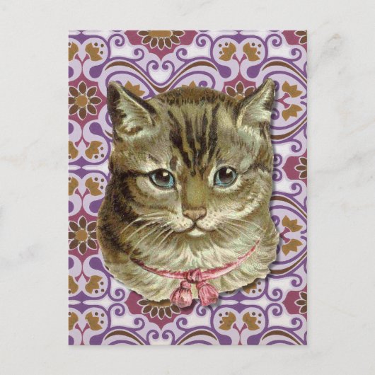 Tabby-Katze Postkarte (Vorderseite)