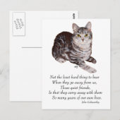 Tabby-Katze Regenbogenbrücke Postkarte (Vorne/Hinten)