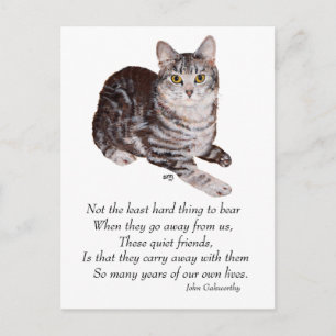 Tabby-Katze Regenbogenbrücke Postkarte