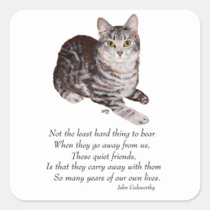 Tabby-Katze Regenbogenbrücke Quadratischer Aufkleber
