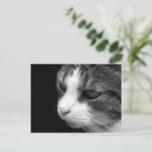 Tabby Katze Schwarz-Weiß-Portrait - Tierische Post Postkarte (Stehend Vorderseite)