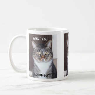Tabby-Katze was Sie, Kaffee-Tasse schauend Kaffeetasse