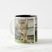 Tabby-Katze Zweifarbige Tasse (Vorderseite Links)