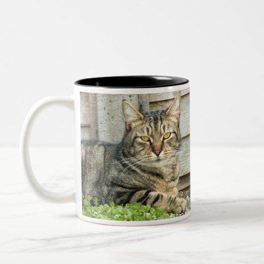 Tabby-Katze Zweifarbige Tasse (Links)