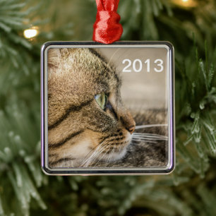 Tabby-Katzen-Gesichts-Nahaufnahme Silbernes Ornament