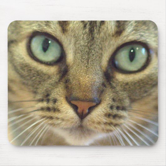 Tabby-Katzen-Gesichts-nahes hohes Mousepad (Vorne)