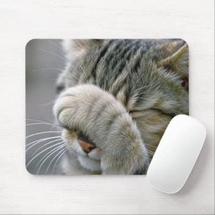 Tabby-Katzen-Humor Mousepad