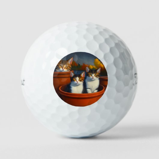 Tabby Katzen in Pflanze Pots, Titleist Golf Balls Golfball (Vorderseite)