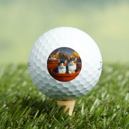 Tabby Katzen in Pflanze Pots, Titleist Golf Balls Golfball (Insitu T-Shirt)