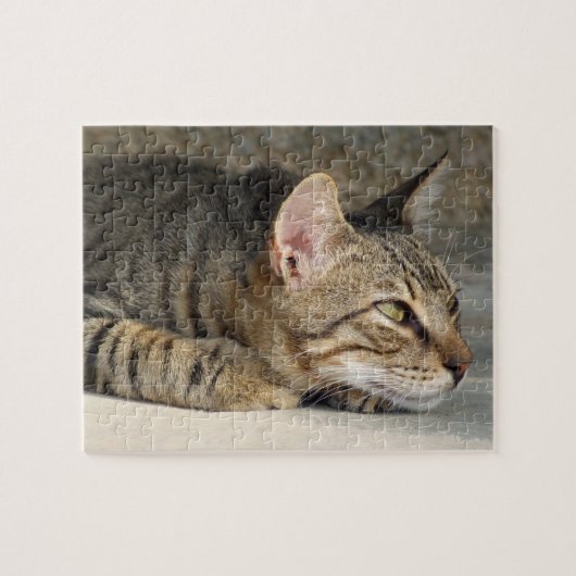 Tabby-Katzen-Laubsäge Puzzle (Horizontal)