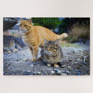 Tabby-Katzen-Puzzle  Puzzle