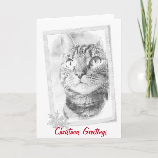 Tabby-Katzen-Skizze-Weihnachtskarte Feiertagskarte (Vorderseite)
