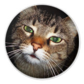 Tabby-Katzen-Zug Keramikknauf (Vorderseite)