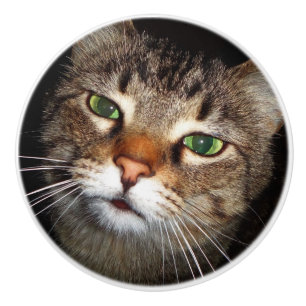 Tabby-Katzen-Zug Keramikknauf