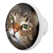 Tabby-Katzen-Zug Keramikknauf (Rechts)