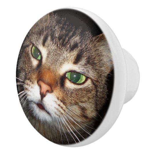 Tabby-Katzen-Zug Keramikknauf (Rechts)