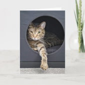 Tabby Katzenfreundschaft Karte (Vorderseite)