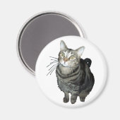 Tabby-Katzenmagnet Magnet (Vorderseite/Rückseite)
